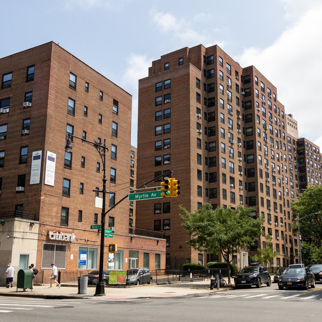 Clinton Hill Co-ops 2