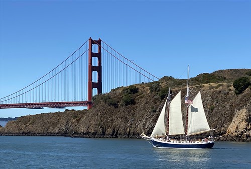 Memorial Day Wildlife Sail under the Golden Gate Bridge 1