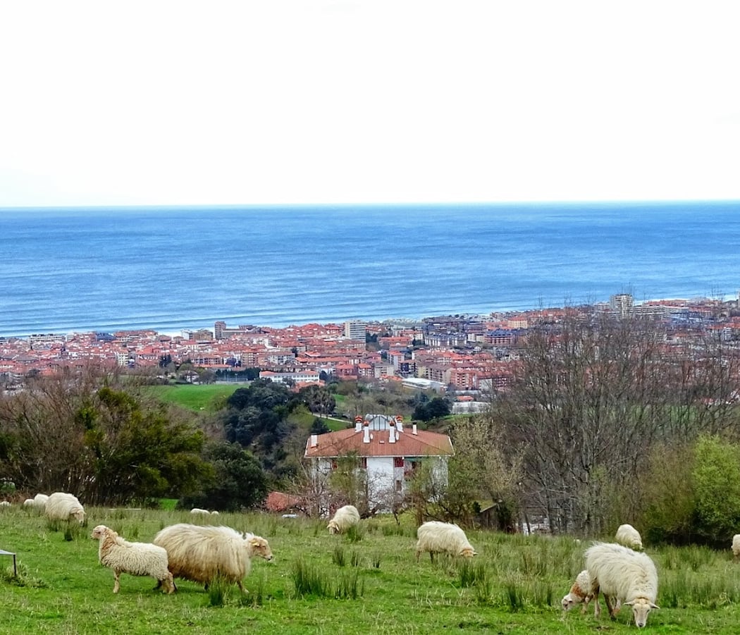 Zarautz 3
