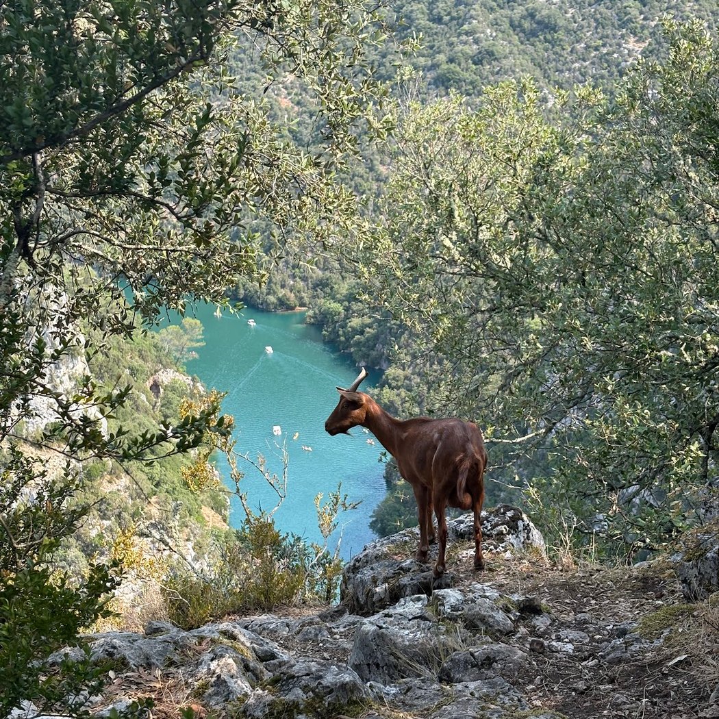 Provence Rando 2
