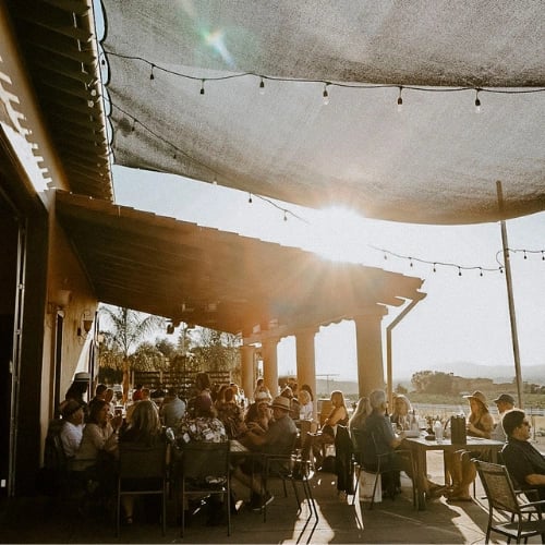 Tuesdays on the Terrace 1