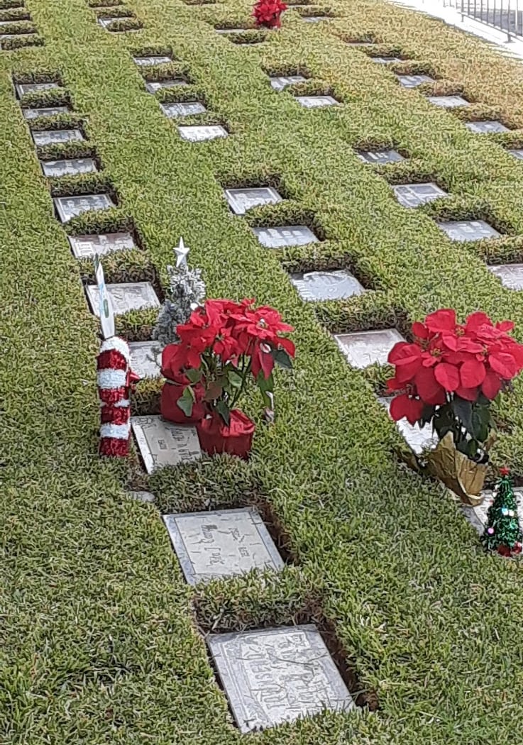 Olivewood Cemetery Tour 3