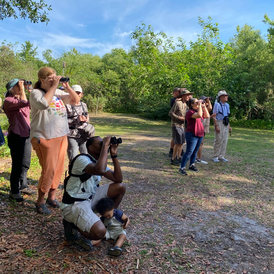 OAS Birding 1