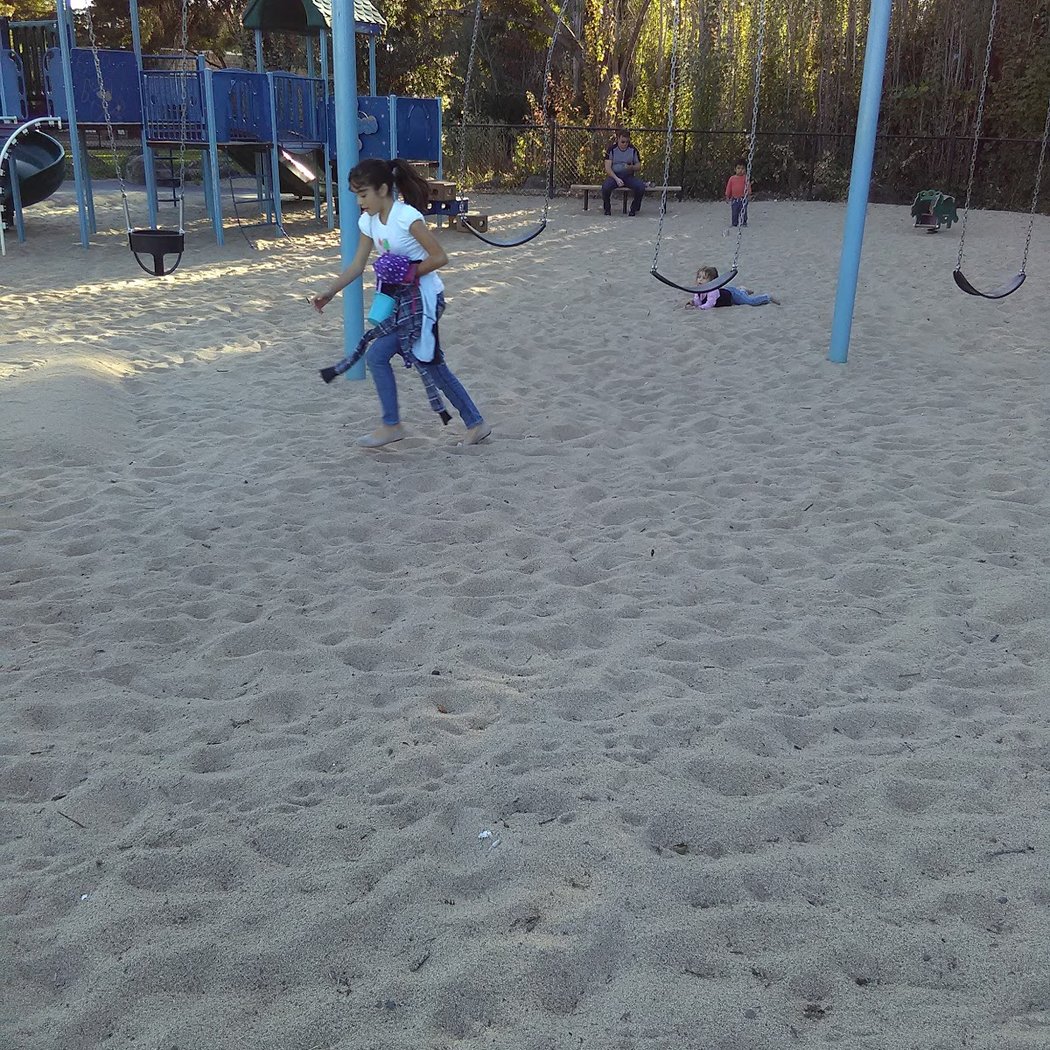 Hilliard Comstock Northwest Community Dog Park 3