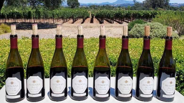 Benovia Winery 2