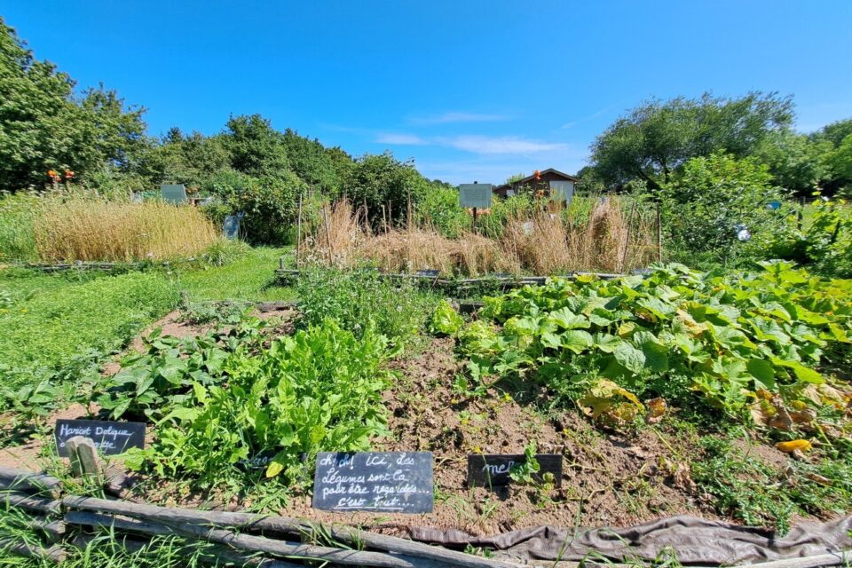 Jardin médieval des caves 3