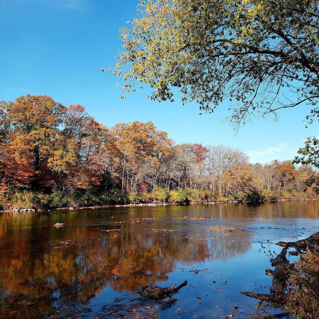 Flushing Township Nature Park 1