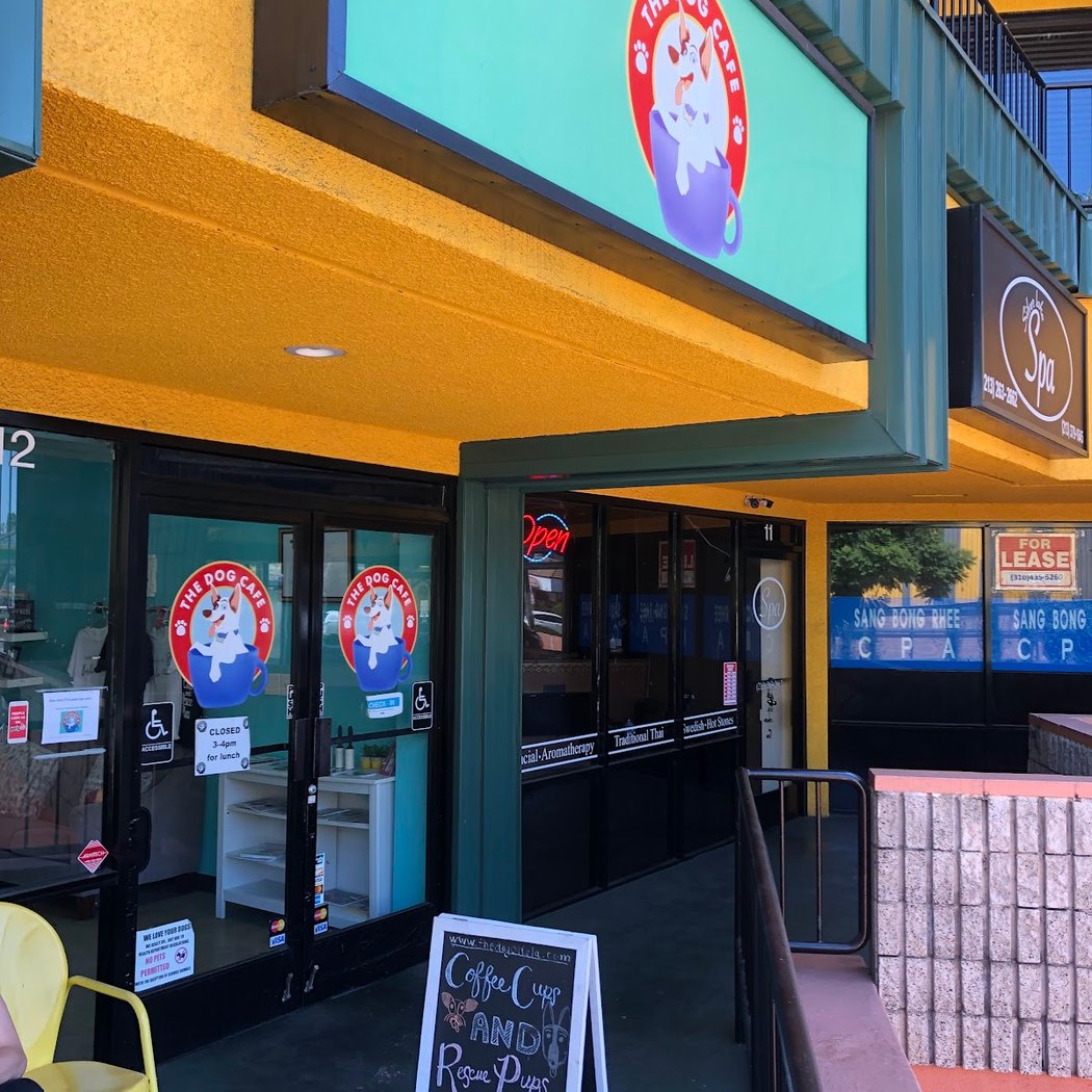 The Dog Cafe 3