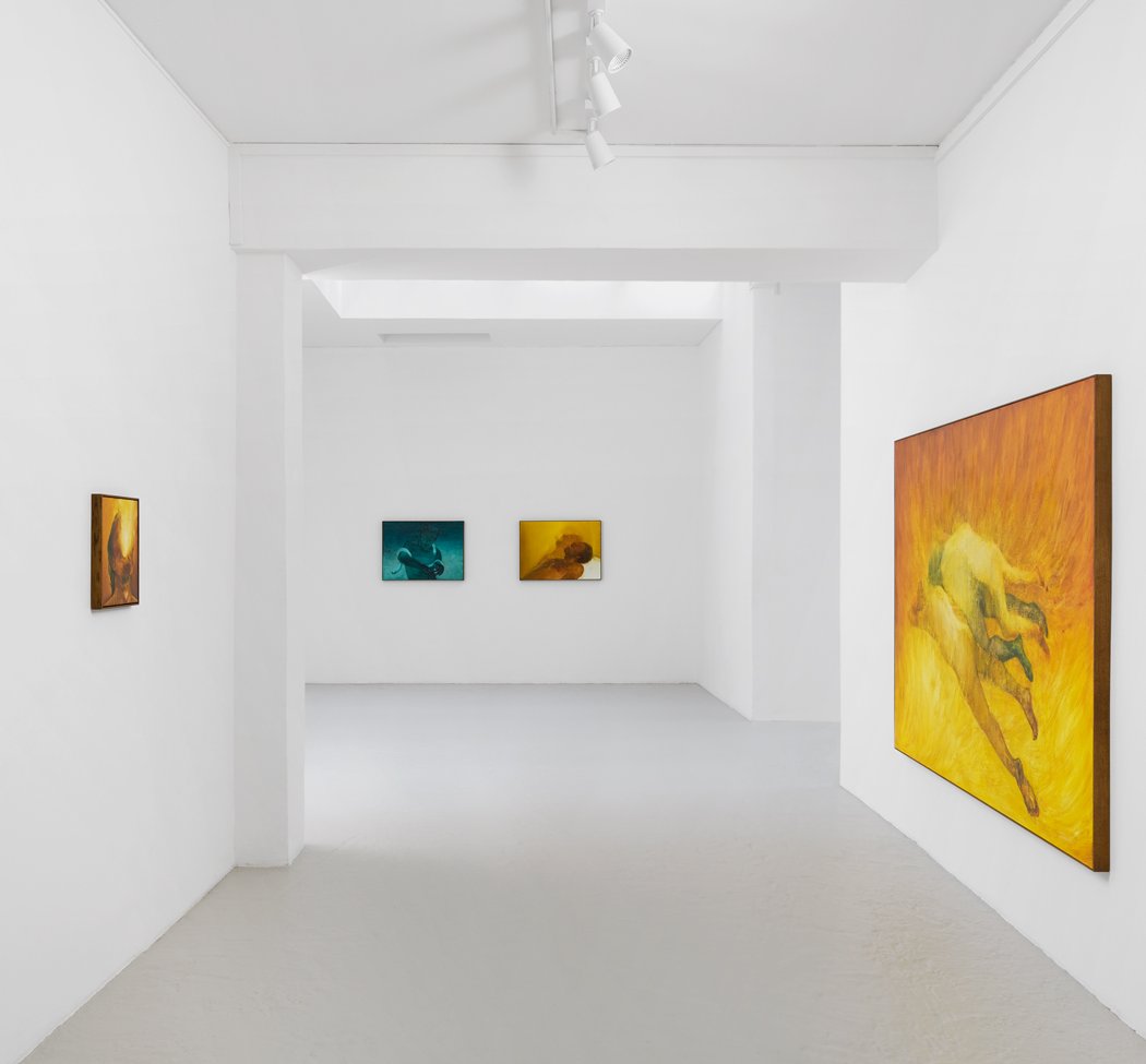 Aneta Kajzer: Too Close to the Sun 3