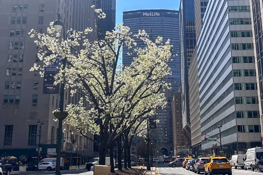 MetLife Building 3