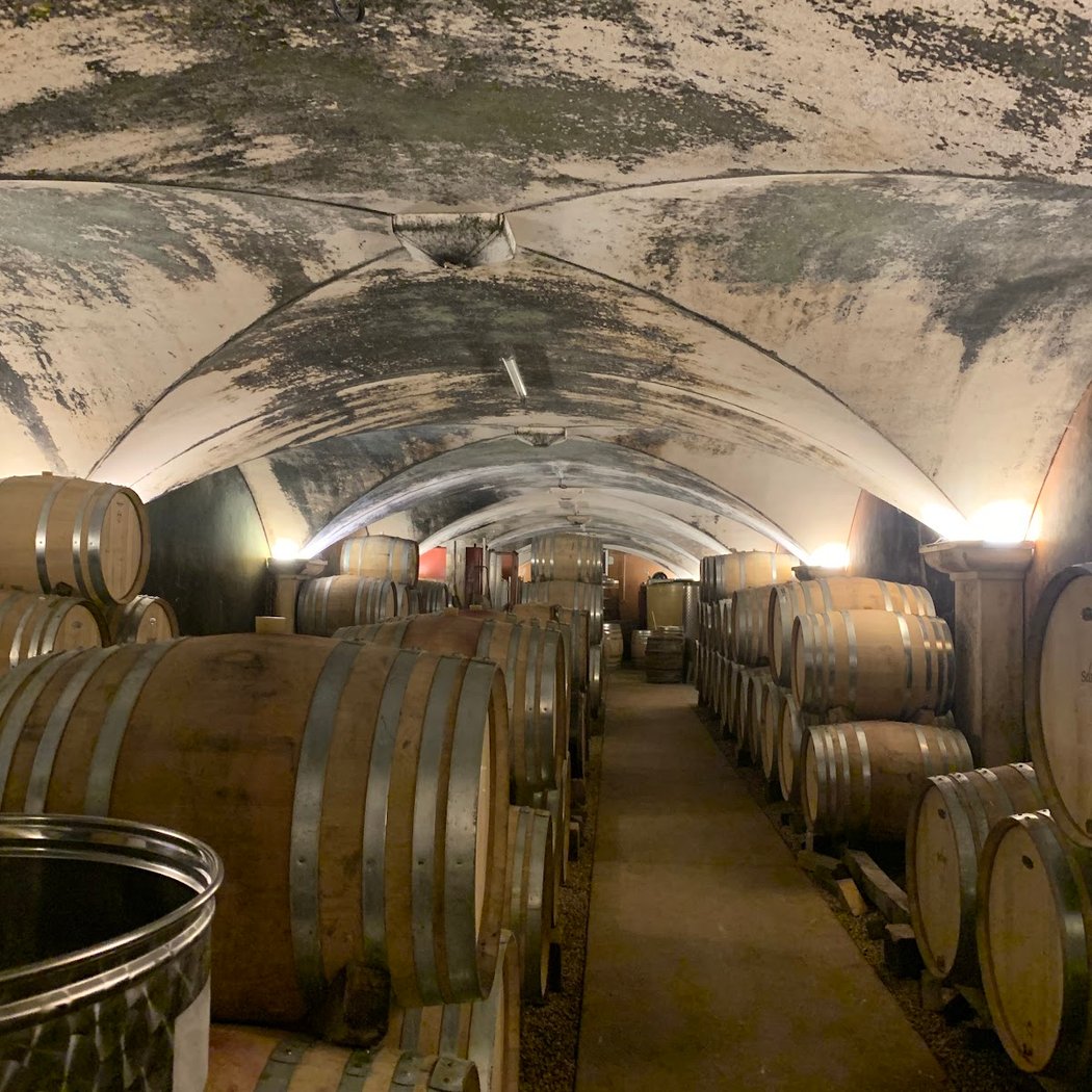 Clos des Vignes du Maynes 2