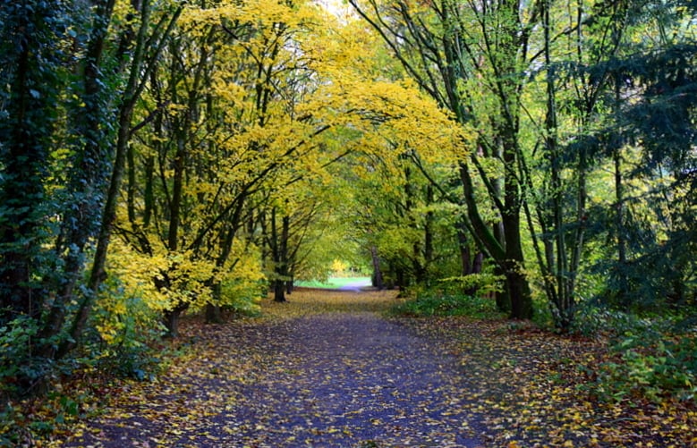 Parc des Gayeulles 1