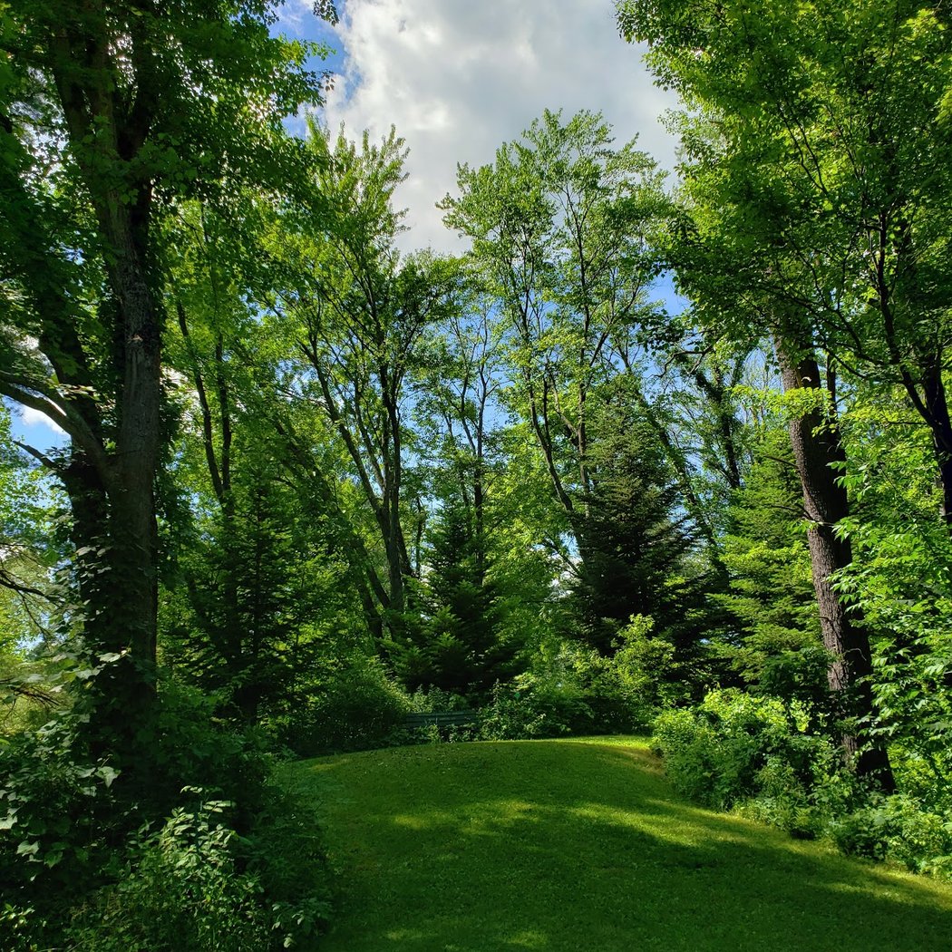 The Pine Hollow Arboretum 3