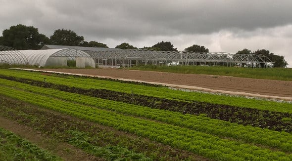La Ferme de Lévéra 3