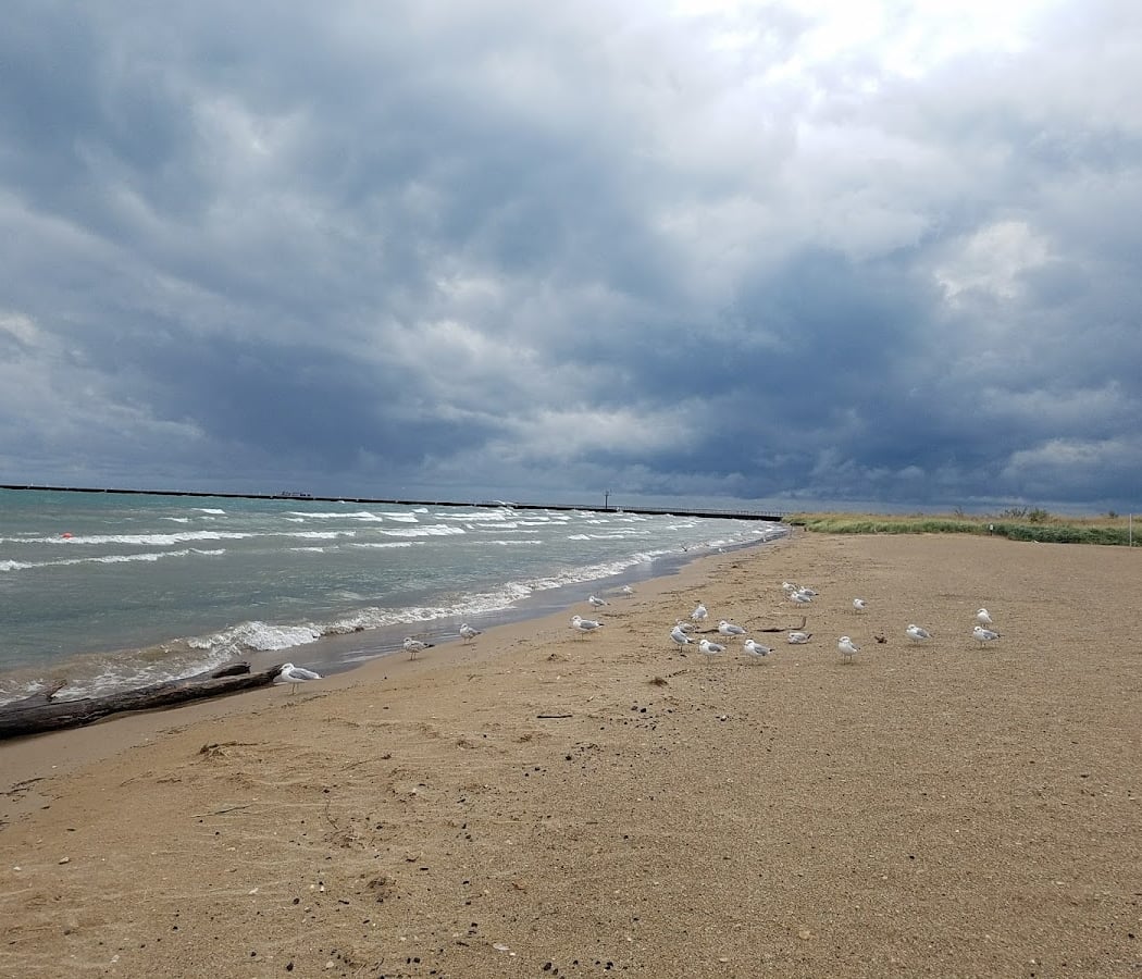 63rd St Beach 3