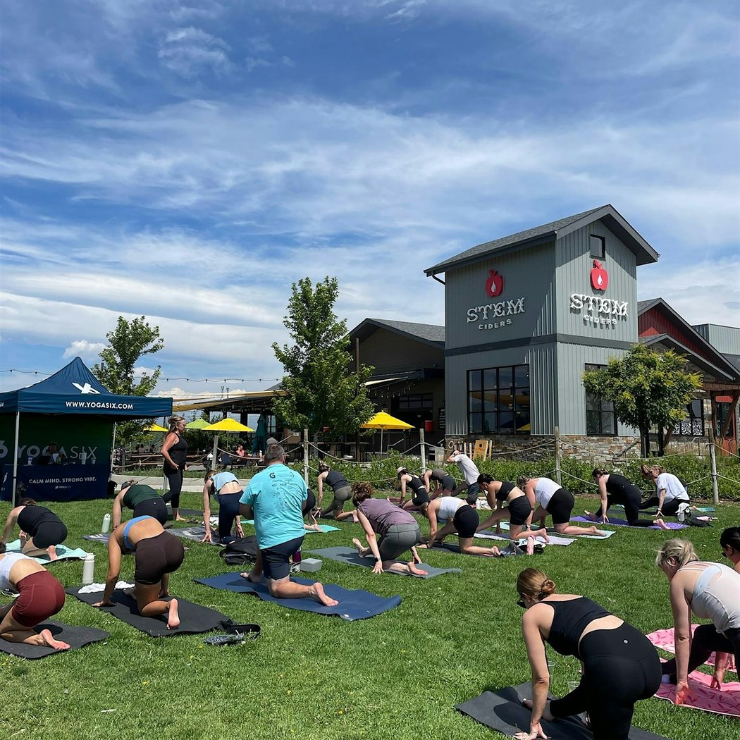 Fitness in the Park – YogaSix 2