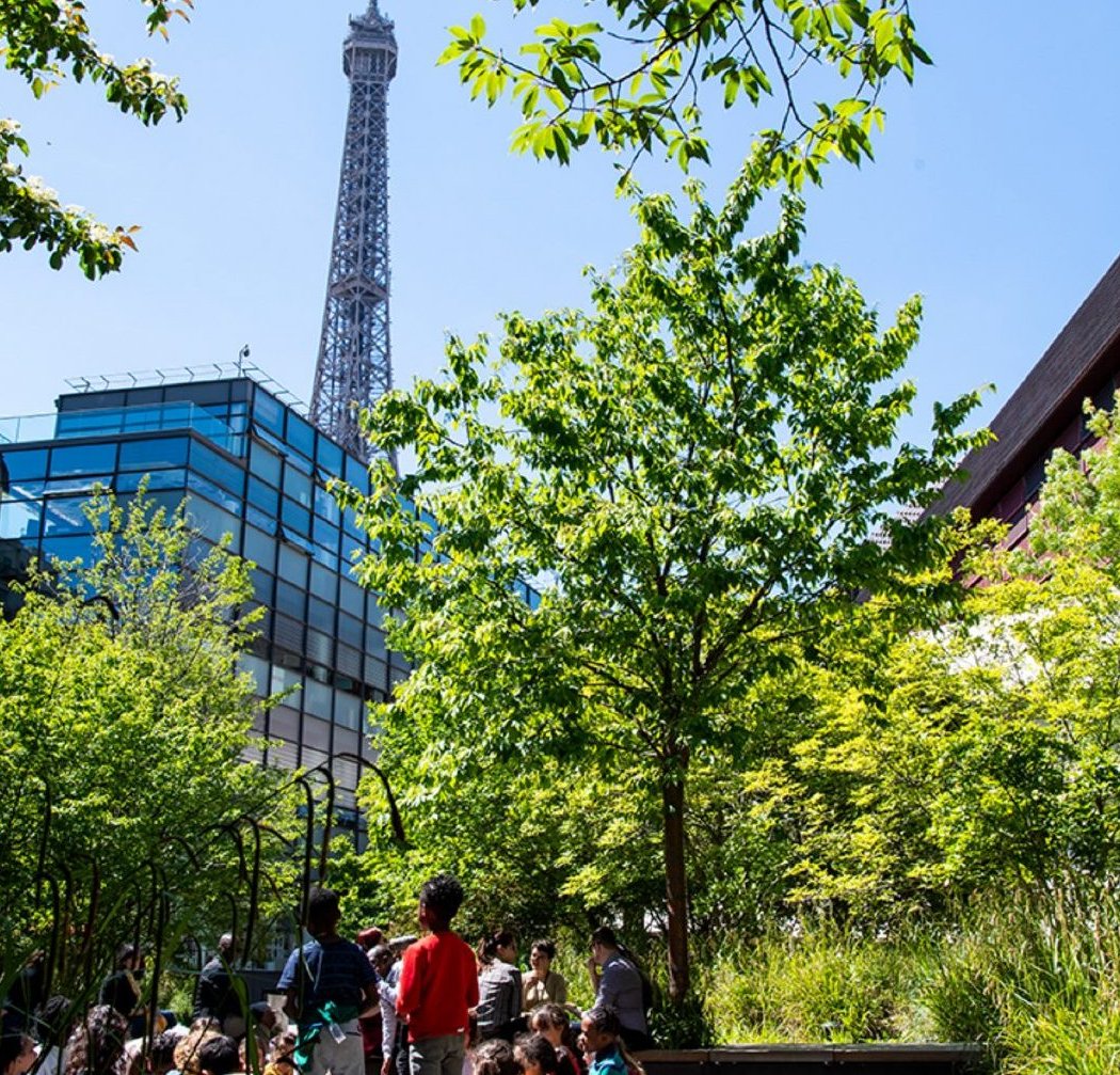Les séances de cinéma en plein air de l’été 3