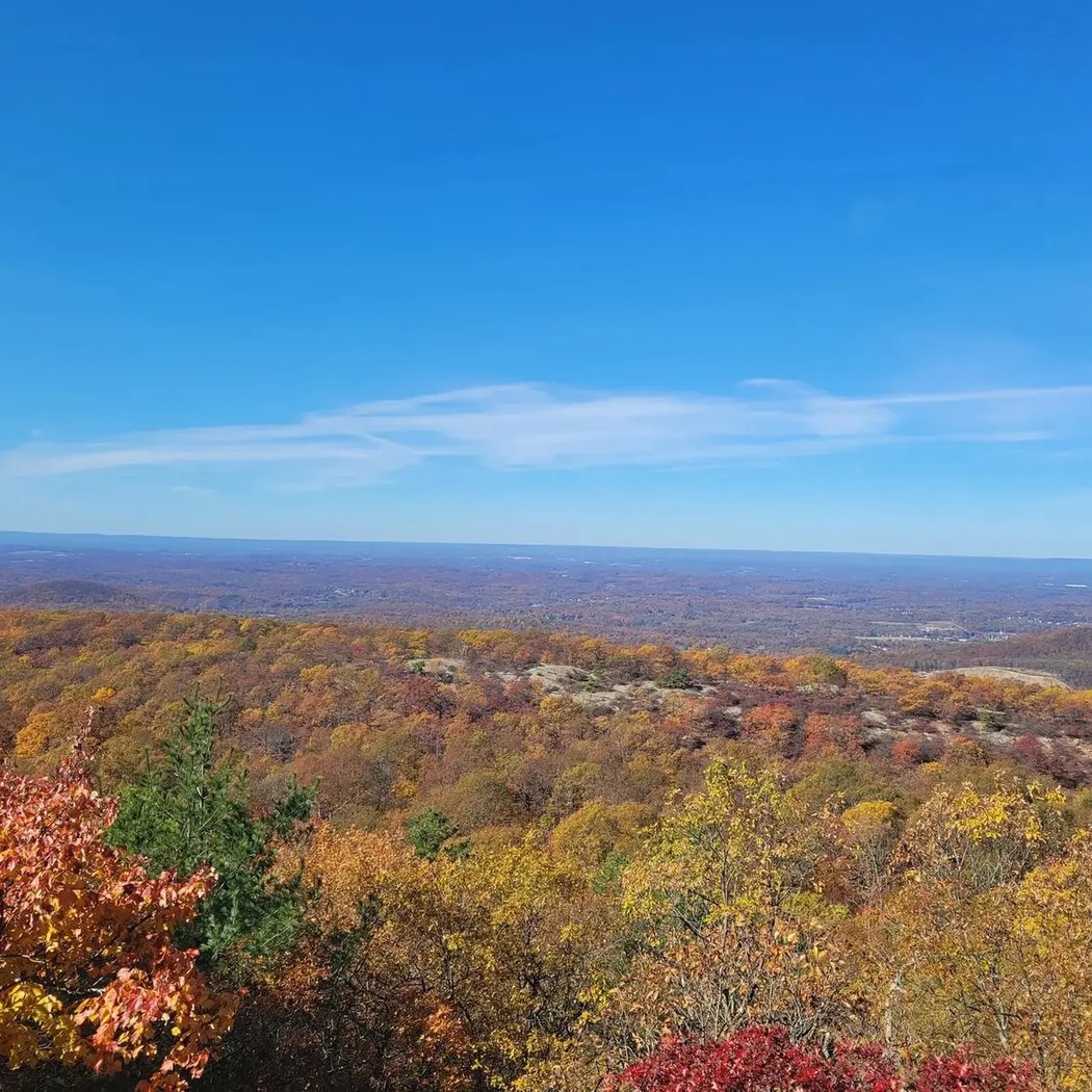 Schunnemunk State Park 2