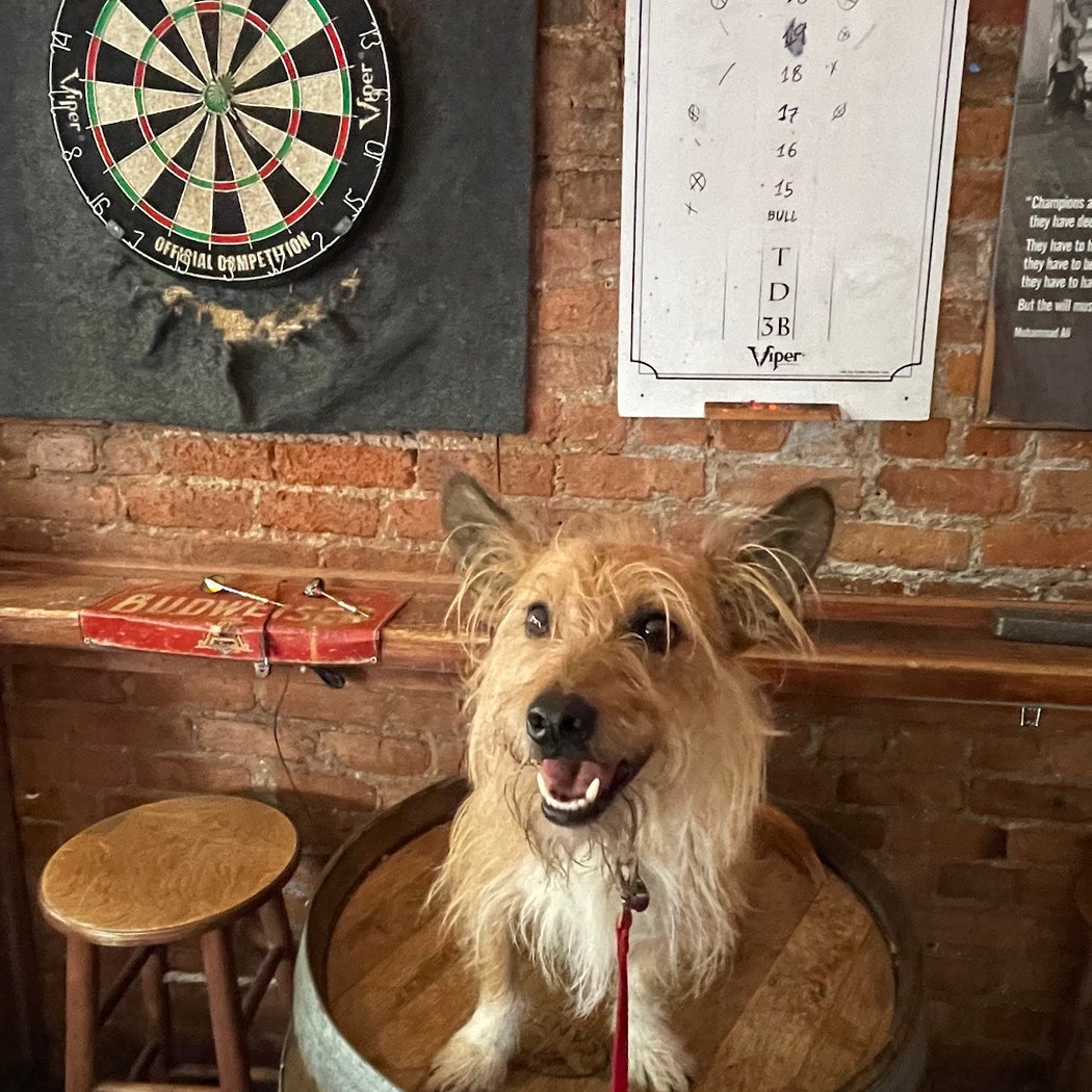 Spike's 1