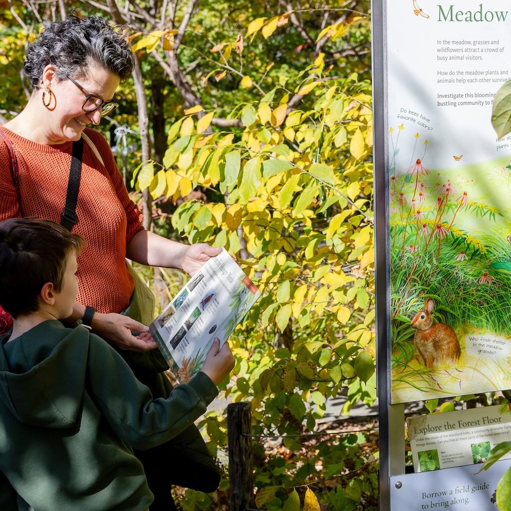 School Group Visits: Discovery Trail 2