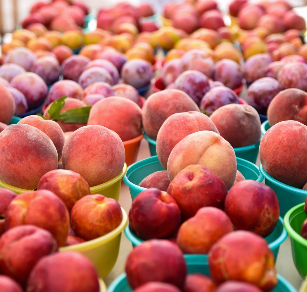 Stone Fruit Celebration