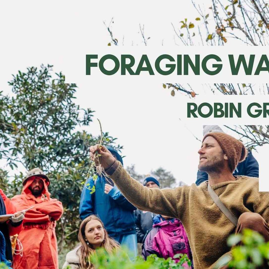 Foraging Walk with Robin Greenfield 1