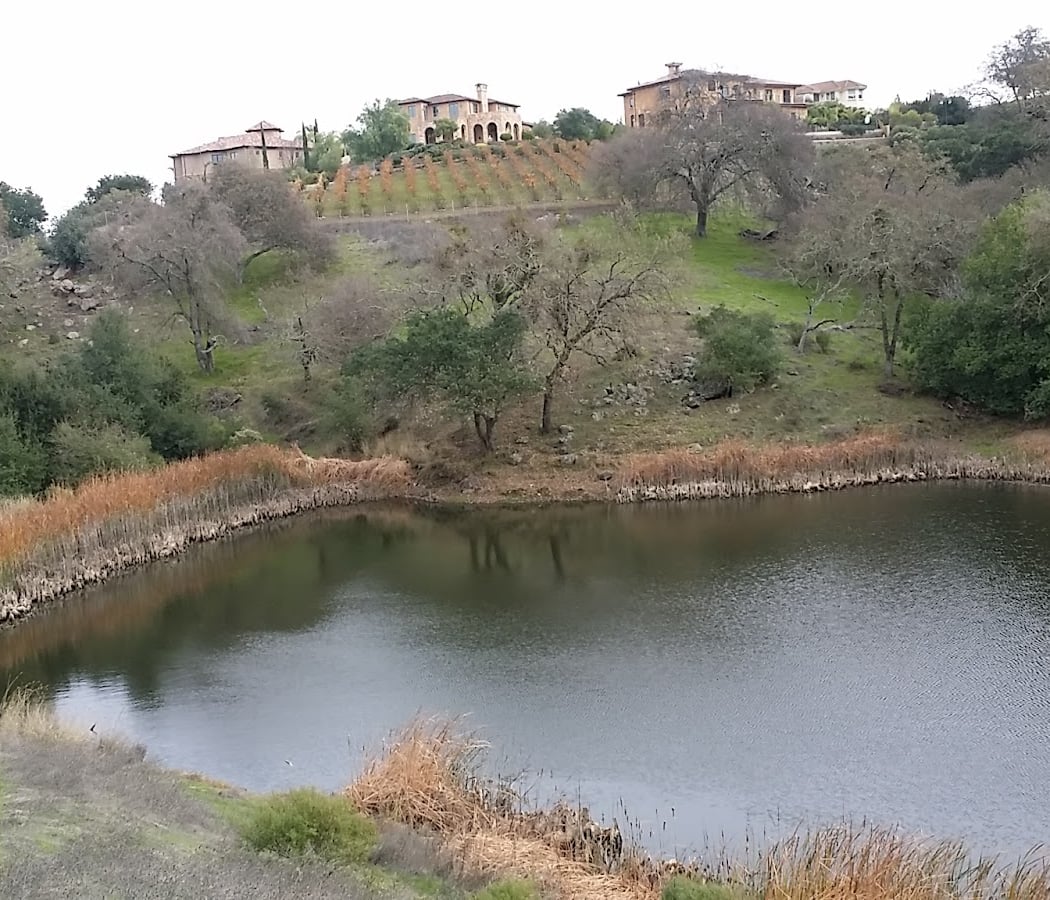 Almaden 2