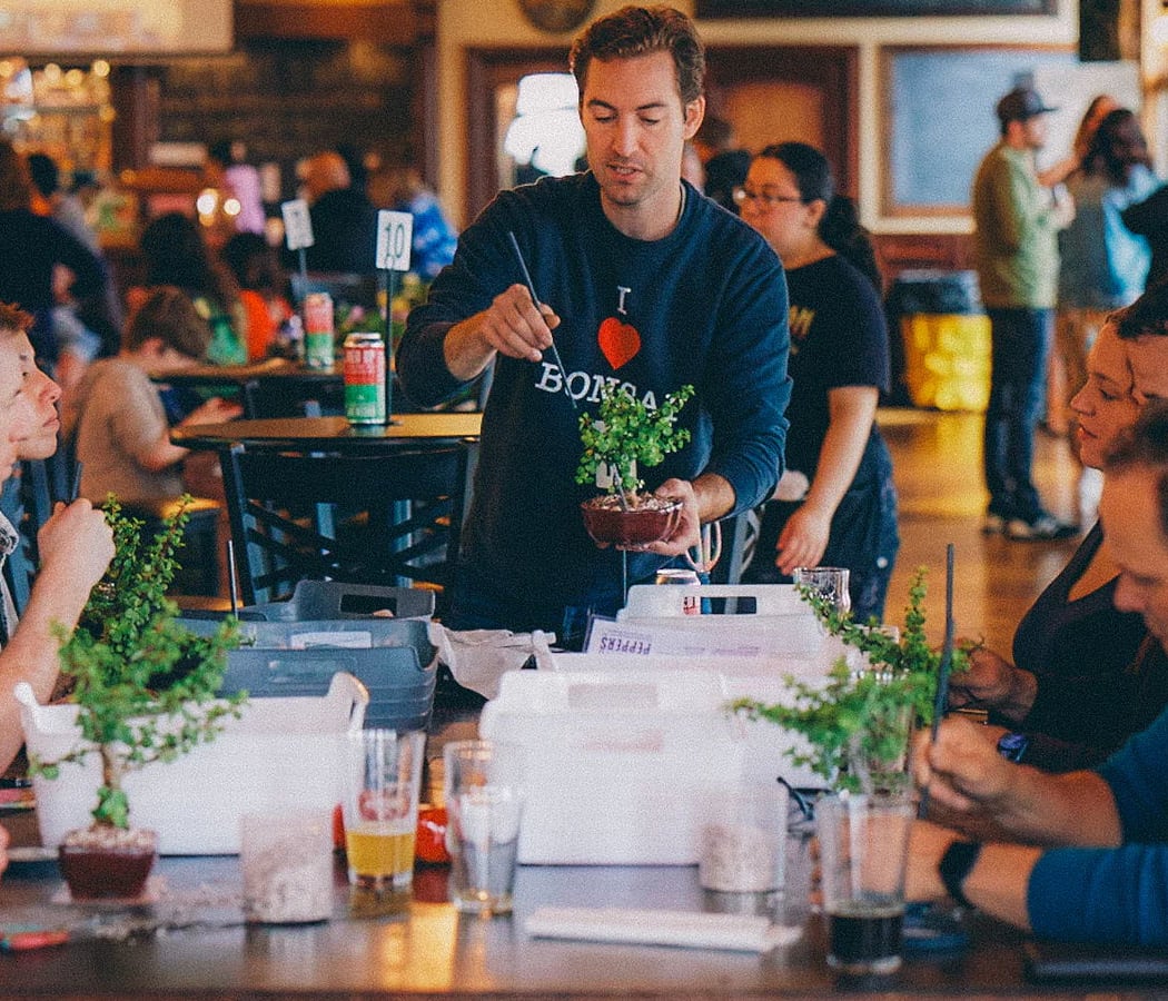 Bonsai Workshop 2
