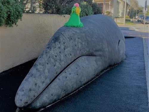 Sandy’s Birthday & Migration Free Family Friendly Event 1