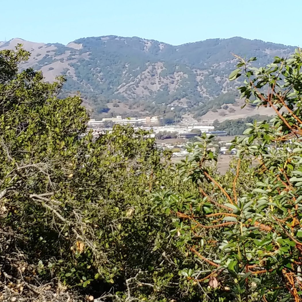 Woodoaks Trailhead - San Pedro Mountain 3
