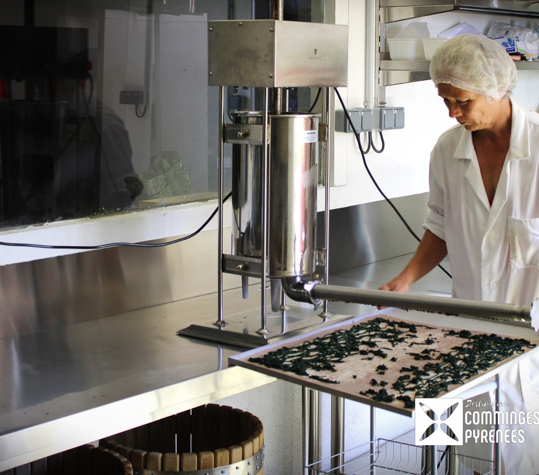Fée Spiruline, production française et biologique de spiruline dans les Pyrénées 2