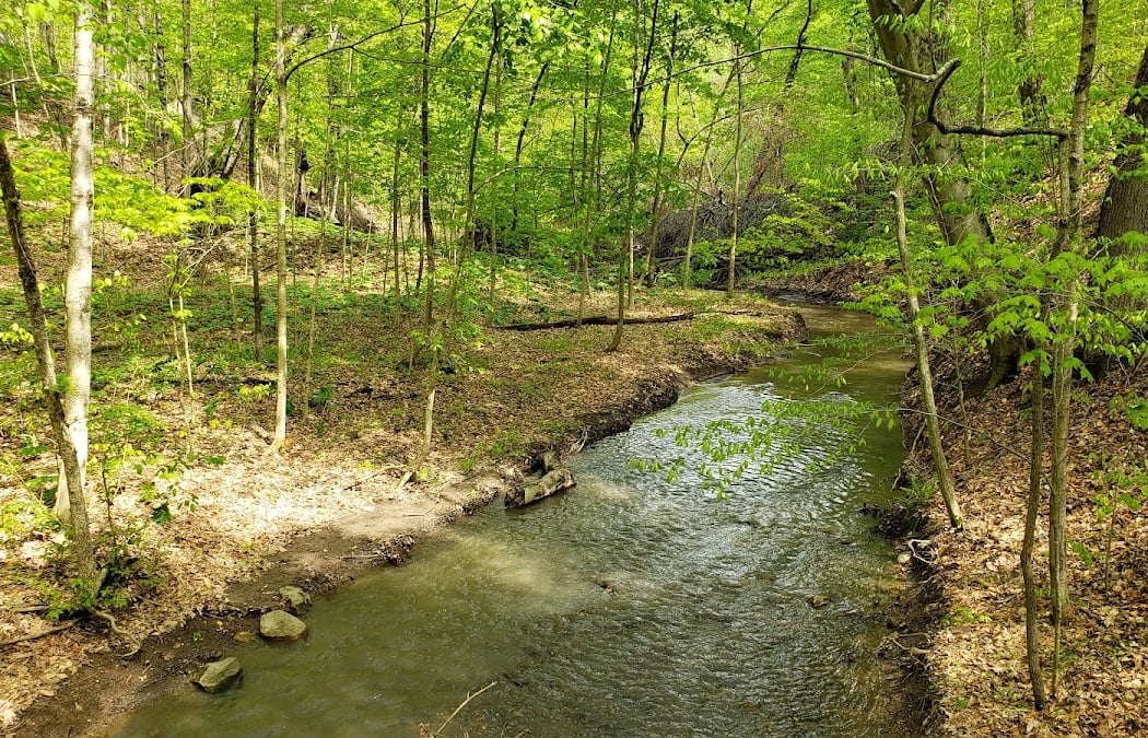 Hogback Ridge Park 1