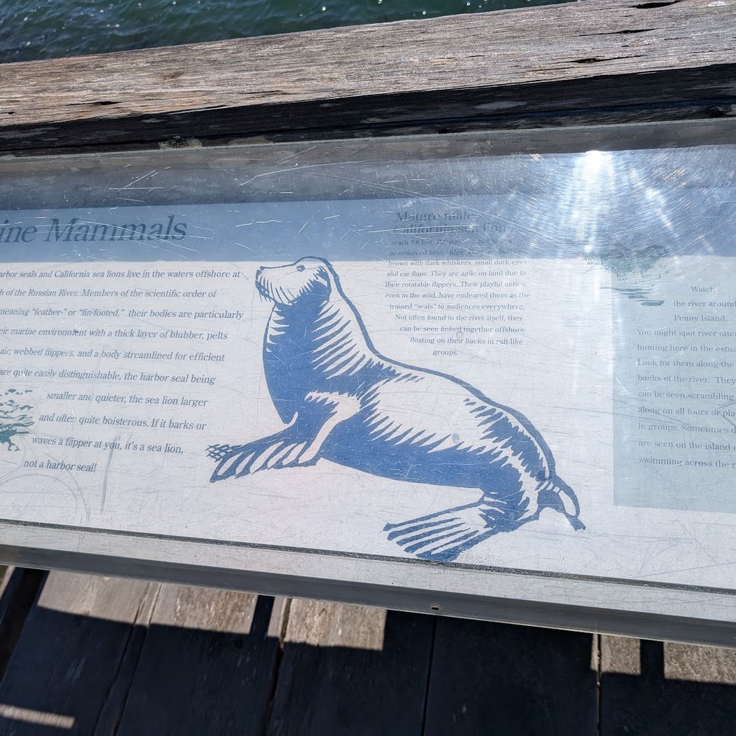 Pinniped Monitoring Volunteer Training 2