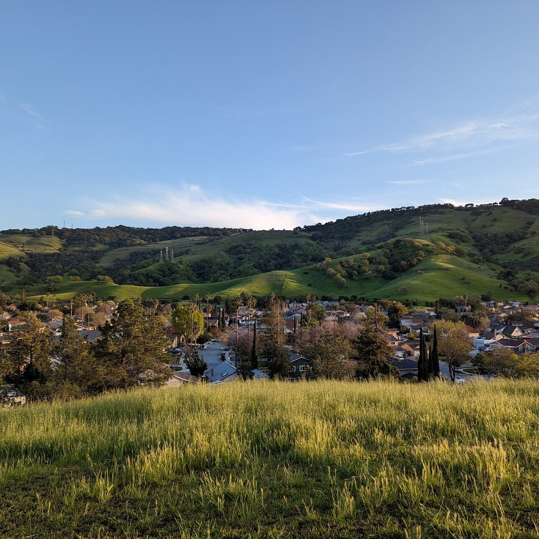 La Colina Park 1
