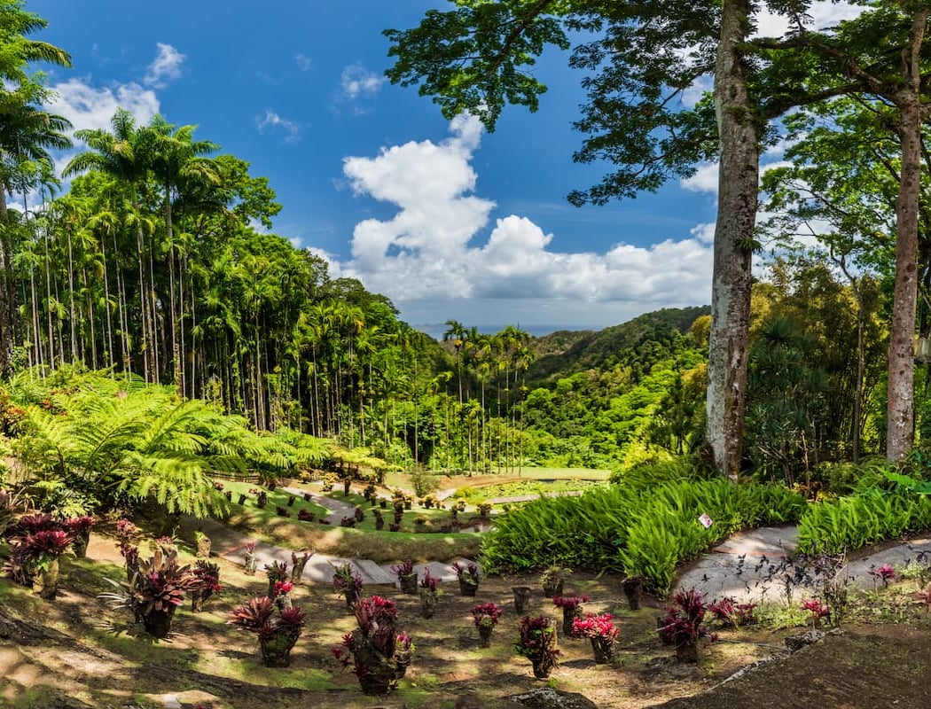 Jardin de Balata 1