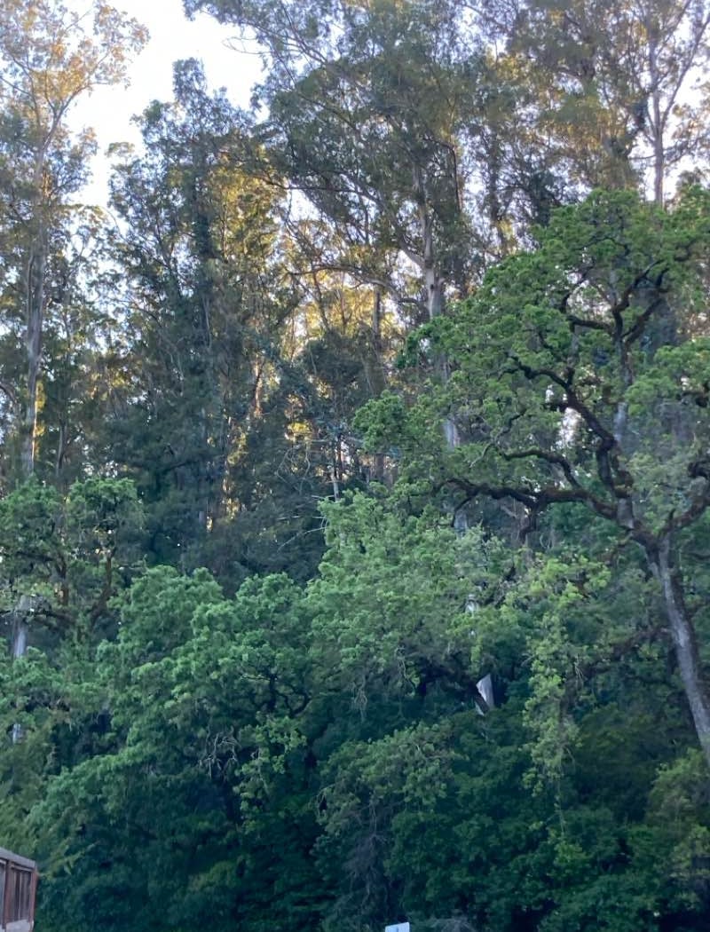 Franklin Park 2