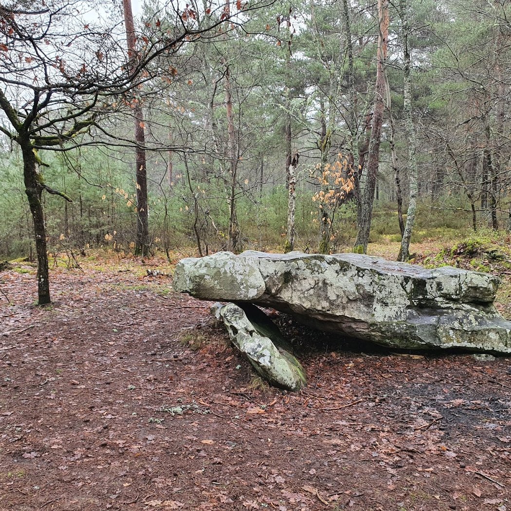 Dolmen de la Pierre Ardoue 1