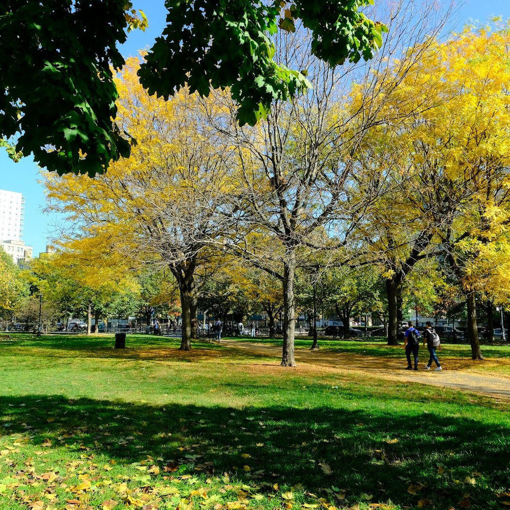 Joyce Kilmer Park 1
