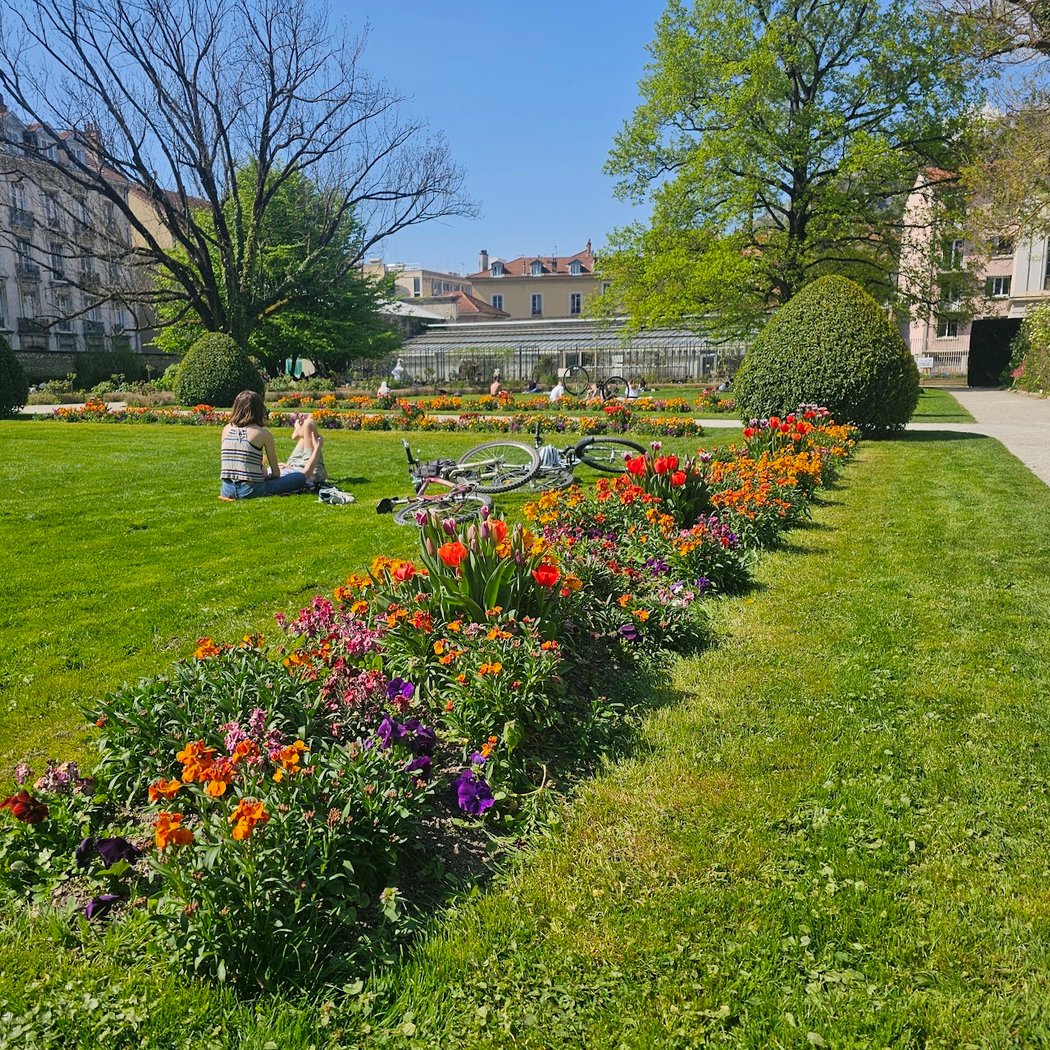 Jardin des Plantes 3