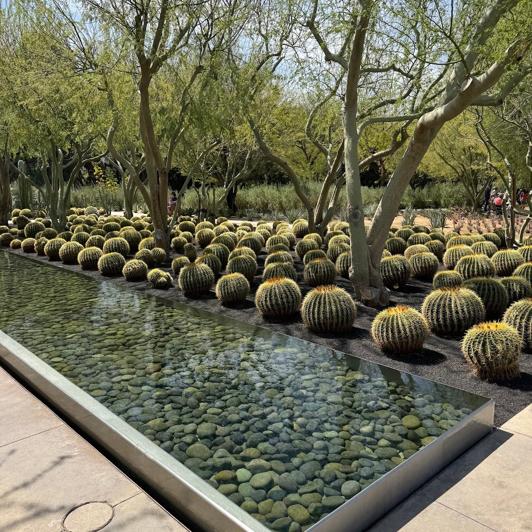 Sunnylands Center & Gardens 1
