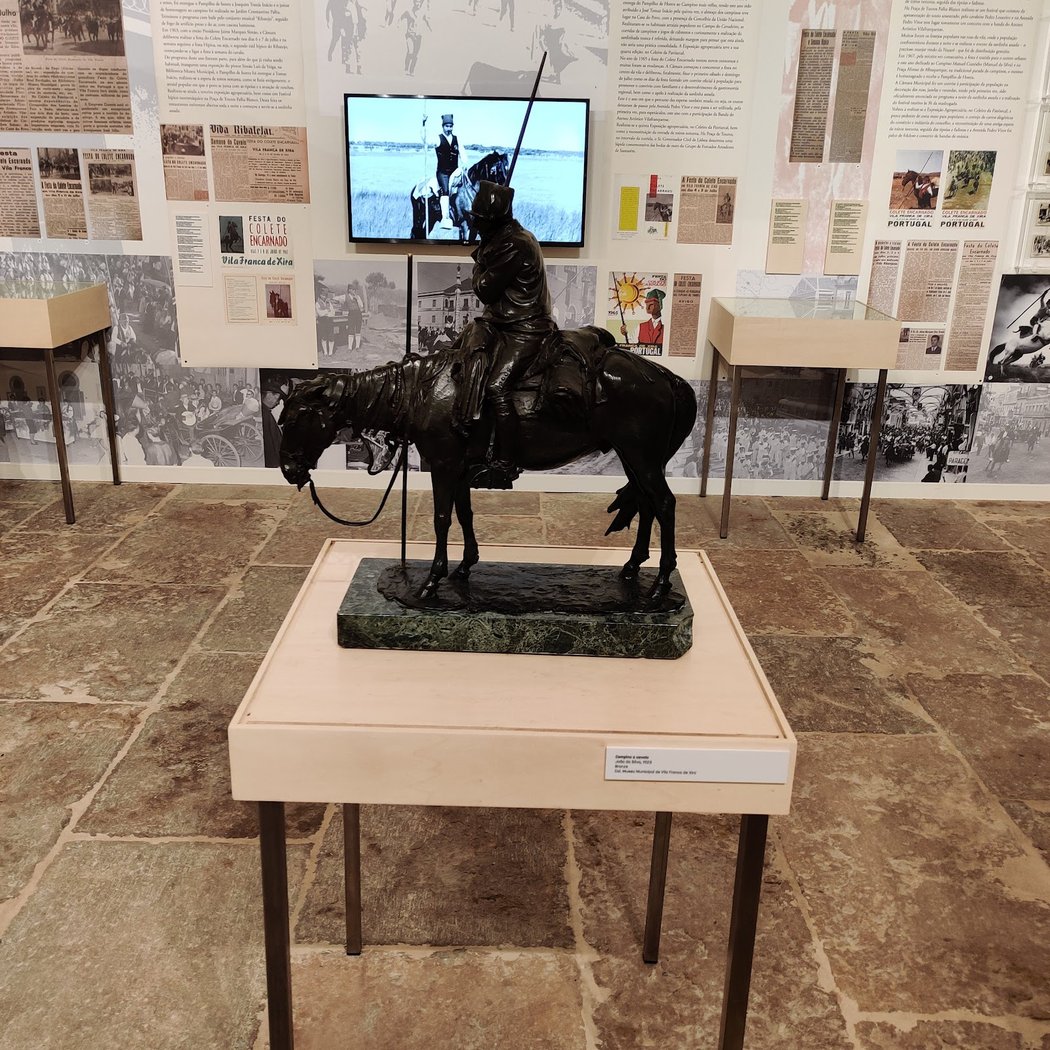 Proteger a Memória – Vila Franca de Xira e o Património Arqueológico e Construído 1