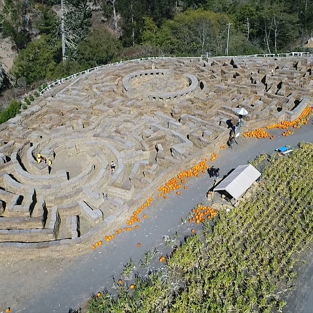 Arata's Pumpkin Farm & Minotaur's Labyrinth Corn Maze