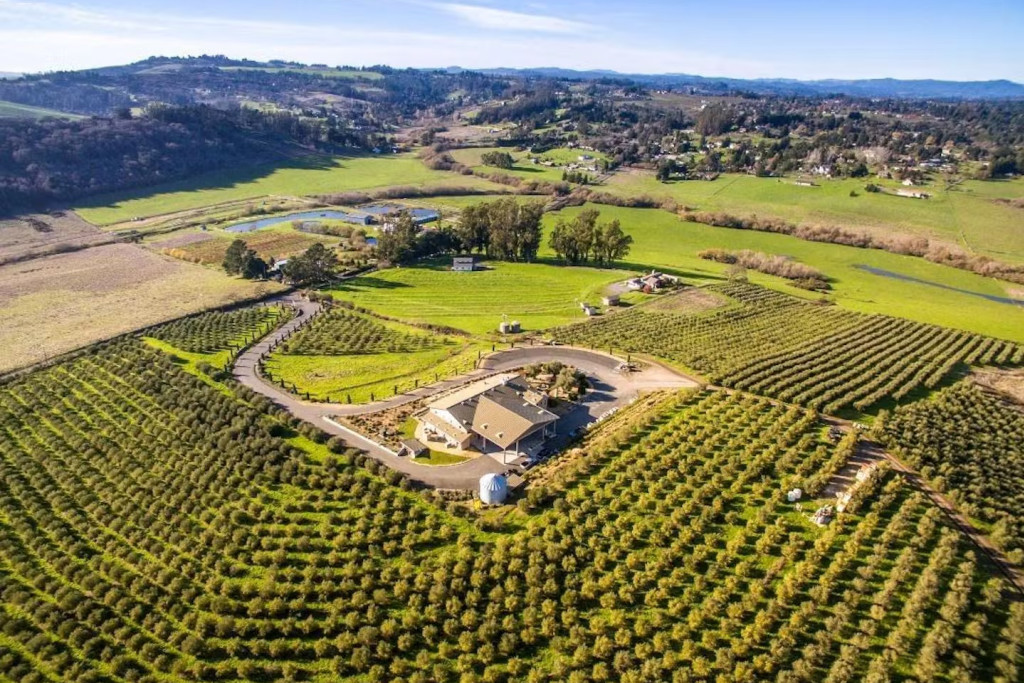 Festive Farm Tour & Seasonal Sips 2