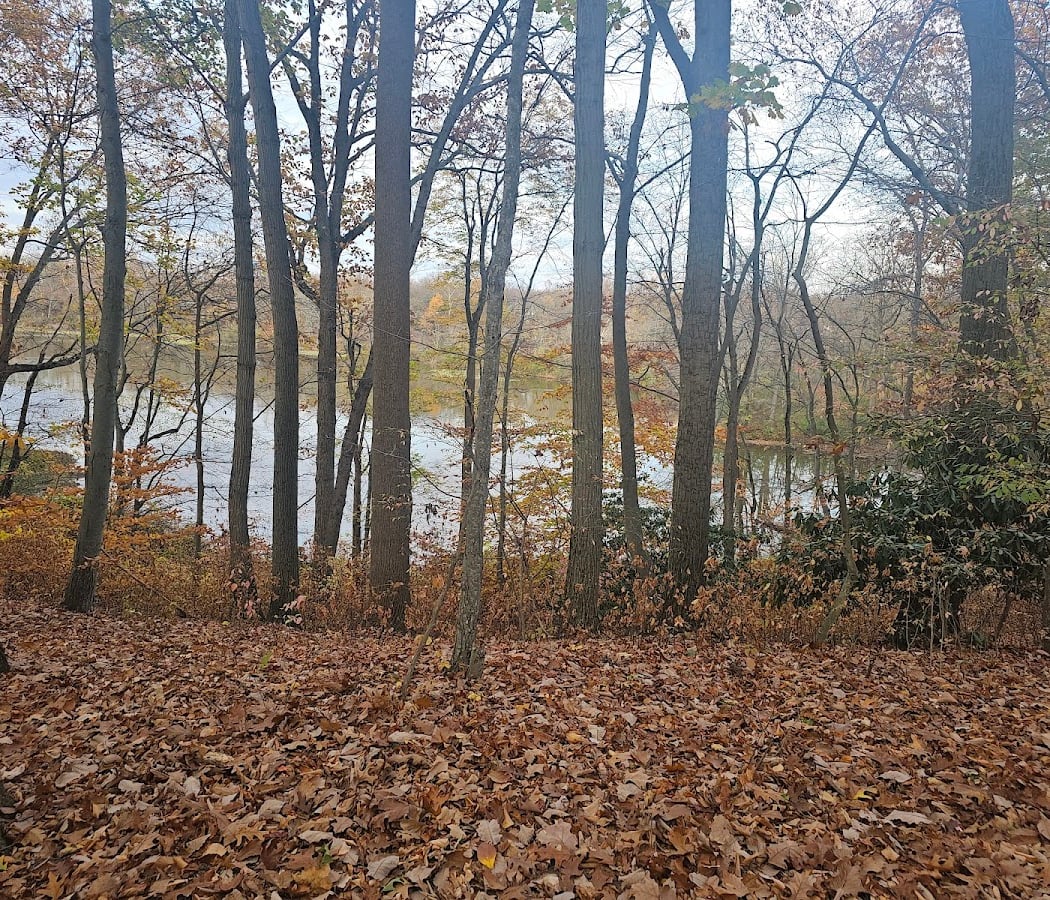 Kresson Trails 4