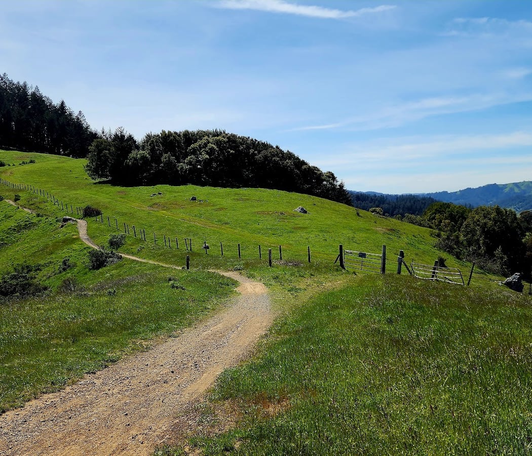 White Hill Preserve 1