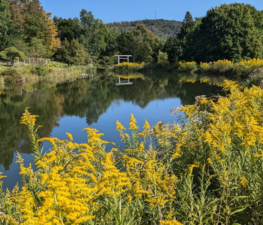 Nannen Arboretum 1