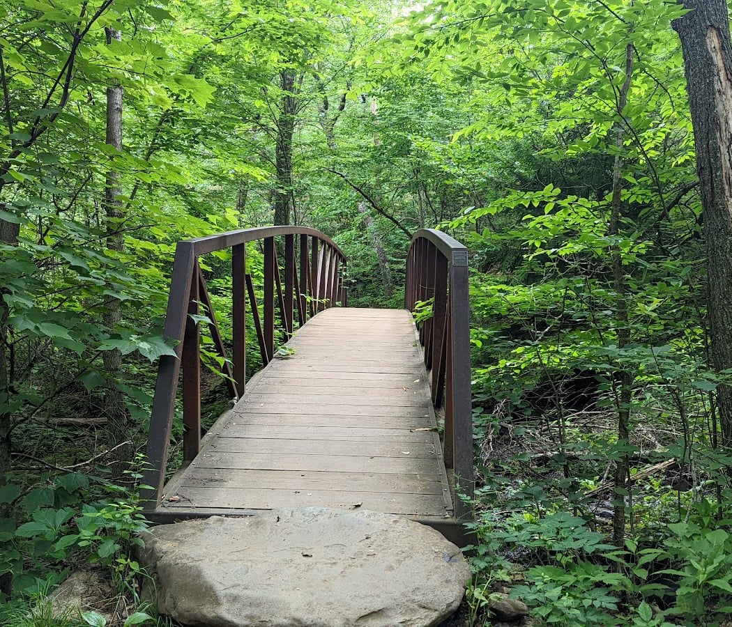 Whiteoak Canyon Trail 3