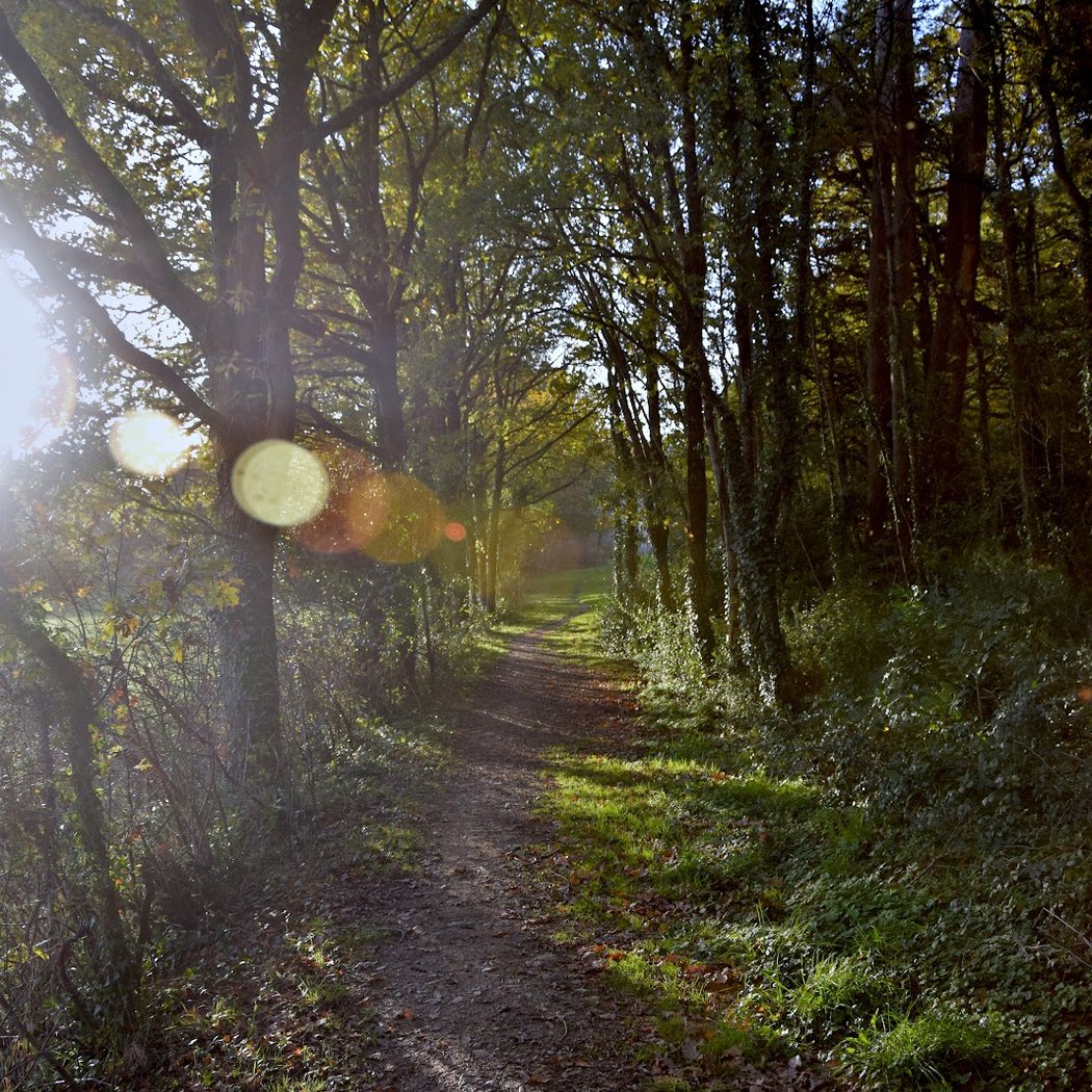 Chasse aux œufs de Pâques 2