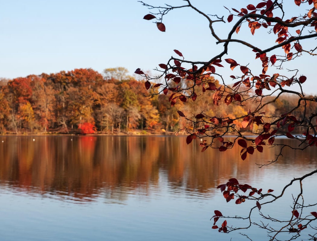 Burke Lake Park 1