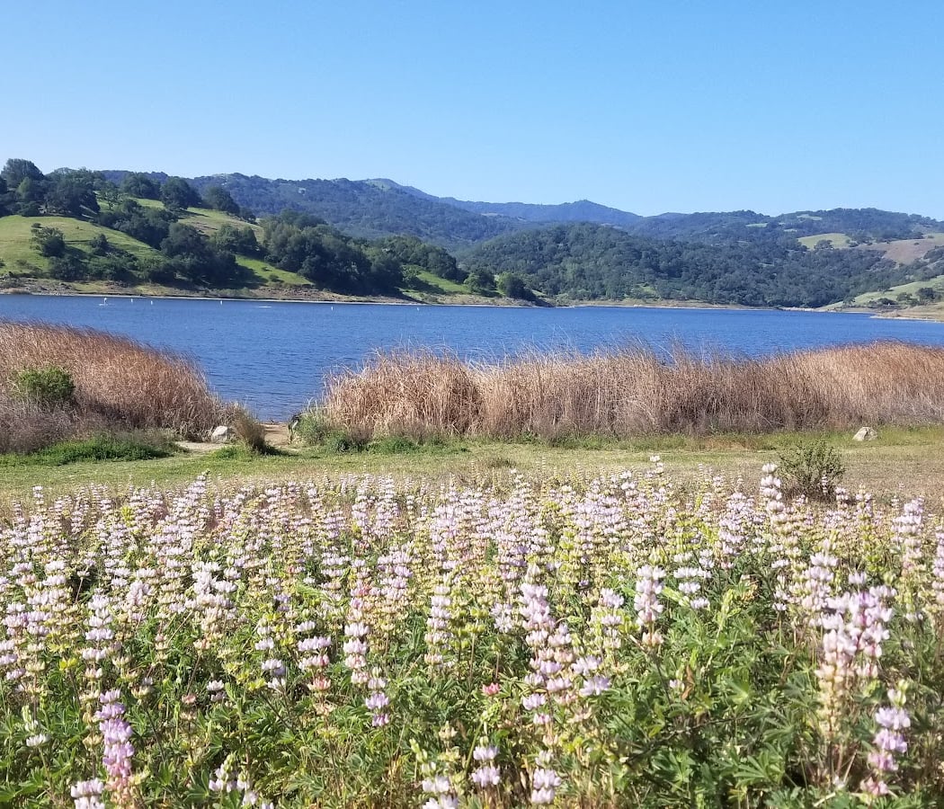 West Group Picnic Area 1